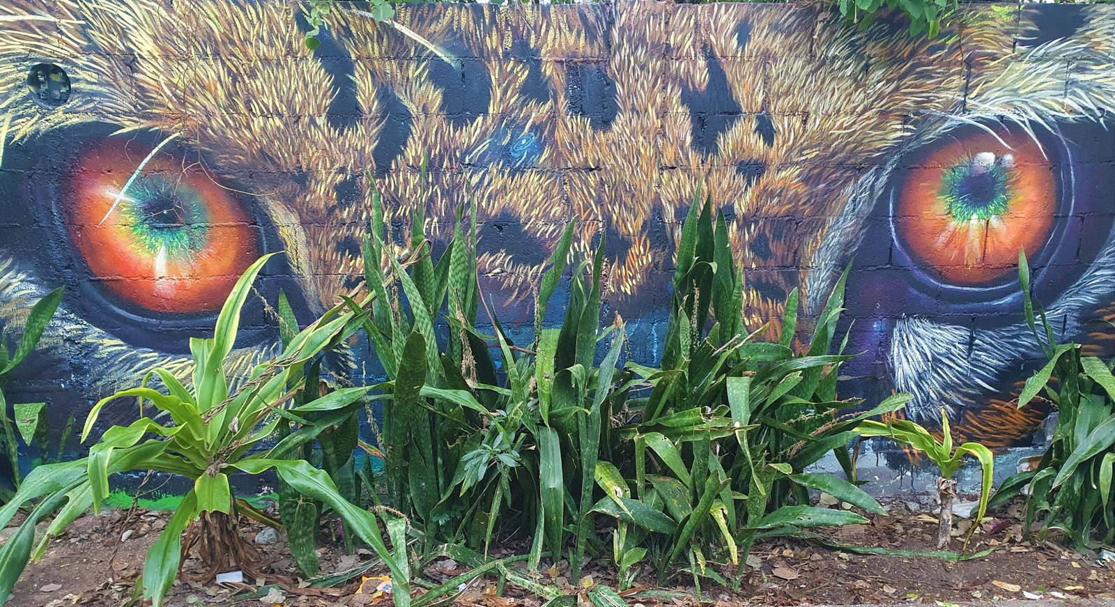 Grafitti from Mexico